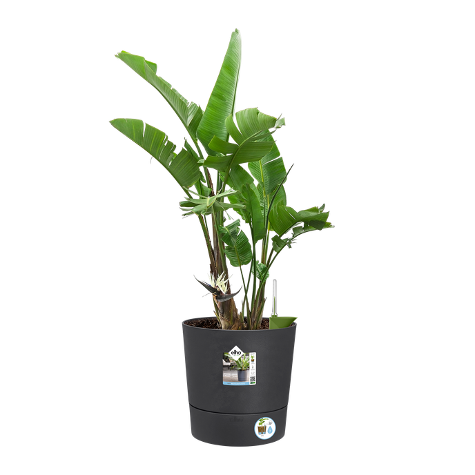 greensense aqua care rond 35cm houtskoolgrijs